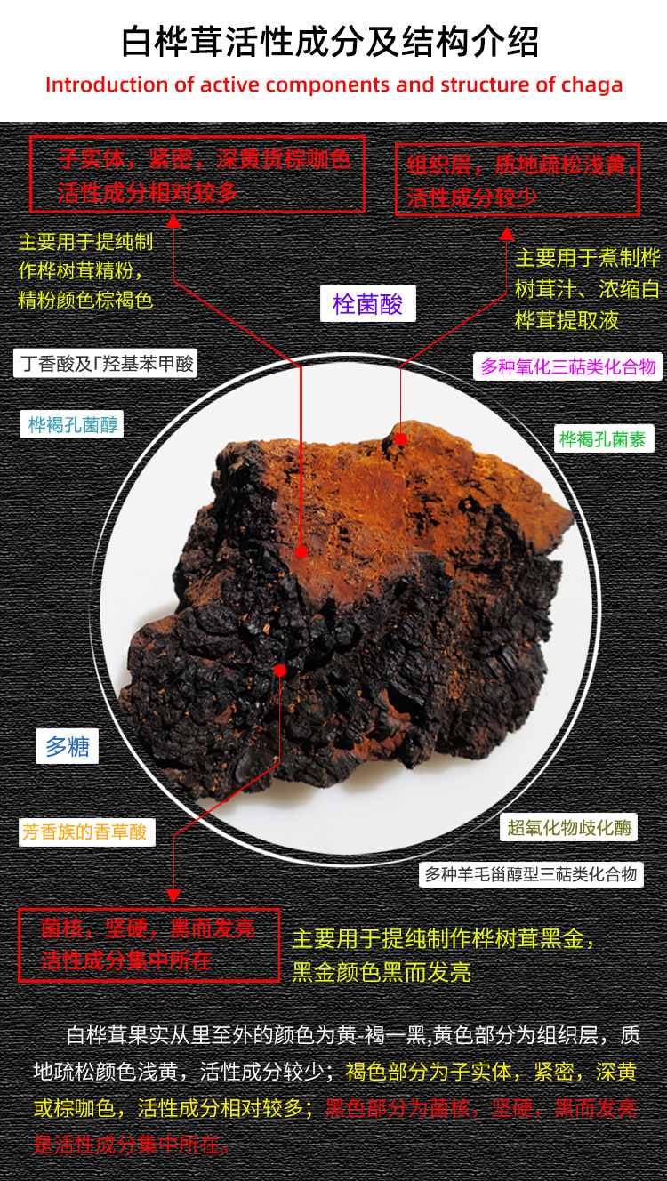 桦树皮的功效与作用_野生桦树茸功效与作用_桦树泪的功效及副作用