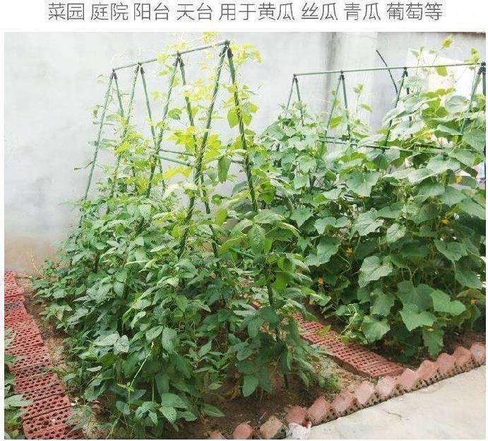 黄瓜架子室外院子庭院院子盆栽架种植架外墙种植箱支撑杆耐用框架