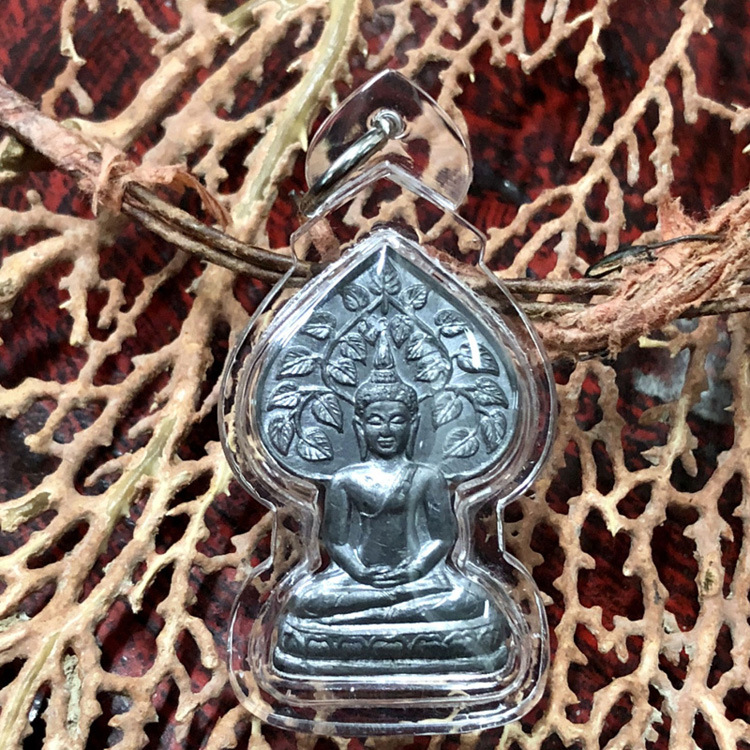 舍玛商贸2532古巴文春大师菩提树佛祖含透明壳及d卡包邮泰国佛牌