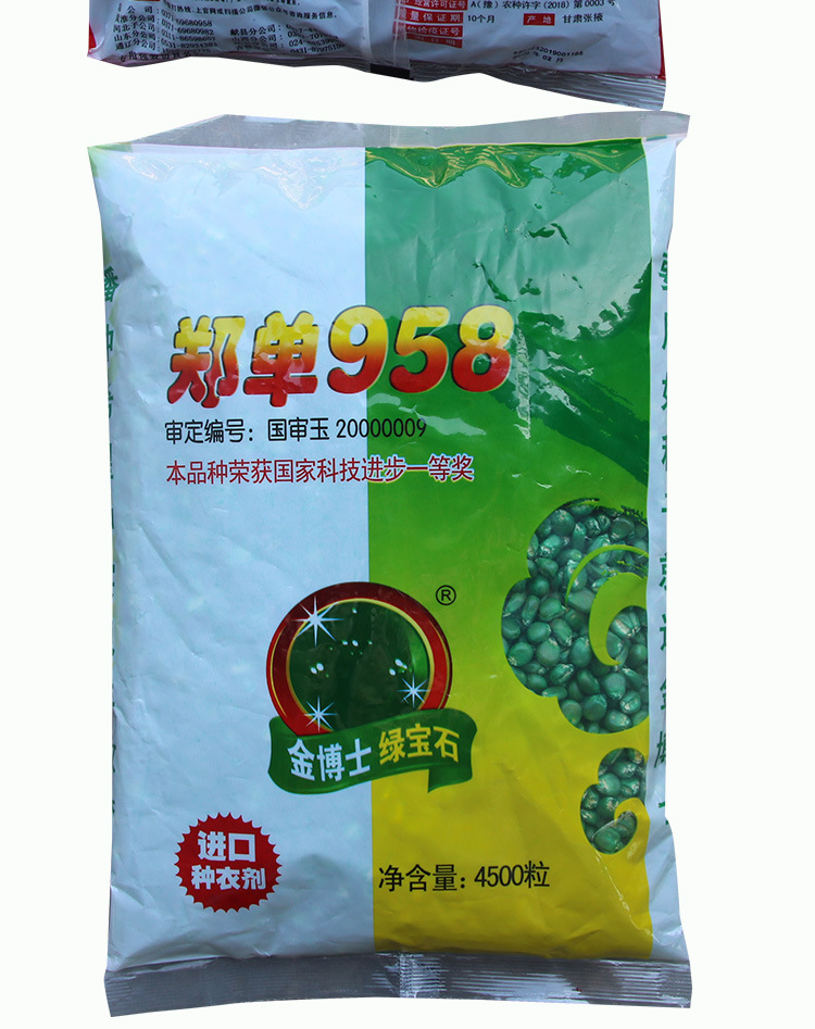 金博士郑单958玉米籽 农田菜园杂交大棒黄棒子抗倒伏玉米籽