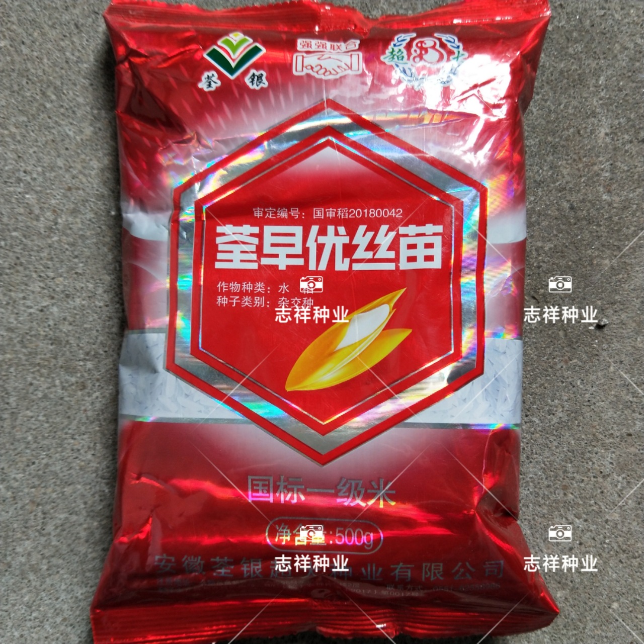 优质晚稻谷种 荃早优丝苗水稻种杂交 国标一级米饭好吃 高产500克