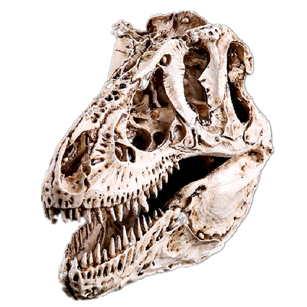 恐龙骷颅头树脂骷髅头霸王龙骷颅头模型骨架科普研究标本参考样本