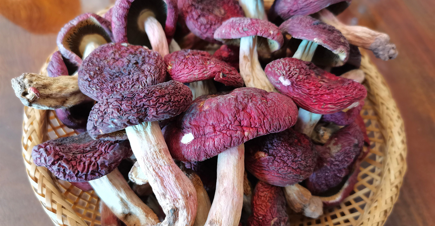 云南特产野生大红菇标菇干货 正红菇干货 蓝底红菇大红菌产地货源