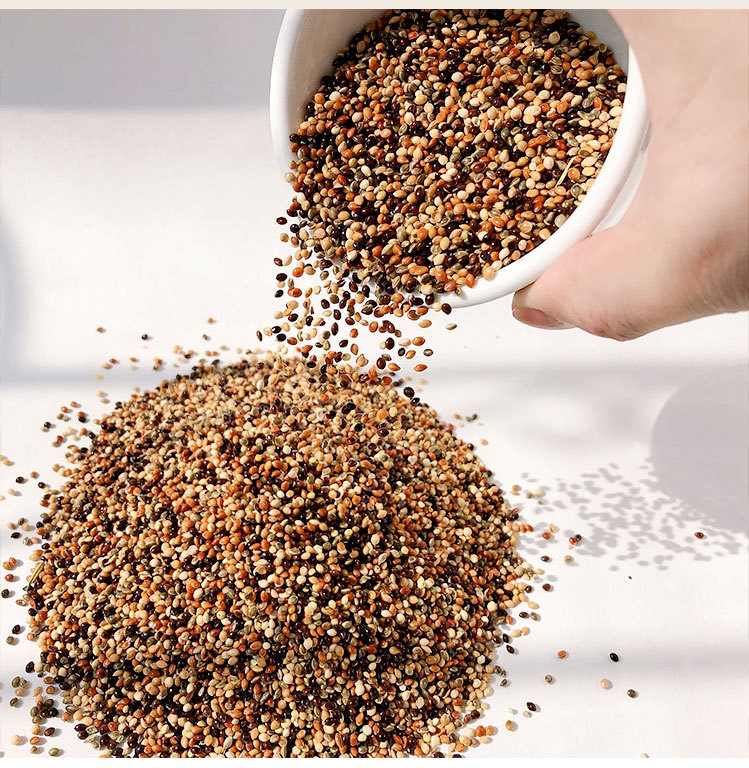 五色黍子鸟粮中小型鹦鹉鸟食饲料虎皮牡丹玄凤文鸟粮玉鸟一件五斤