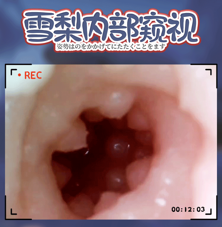 飞机杯男用品成人性私处夹吸熟女娃真人版真阴带毛假阴道子宫充气-阿