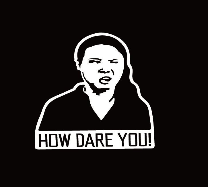 瑞典环保少女howdareyou车贴瑞典女孩gretathunberg演讲