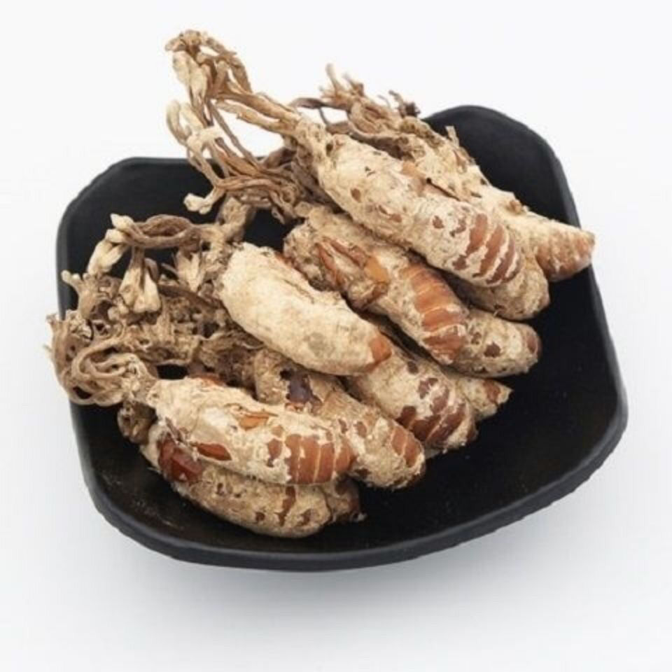 金蝉花 新货大别山 竹林蝉花虫草蛹虫草 50克格包邮质量