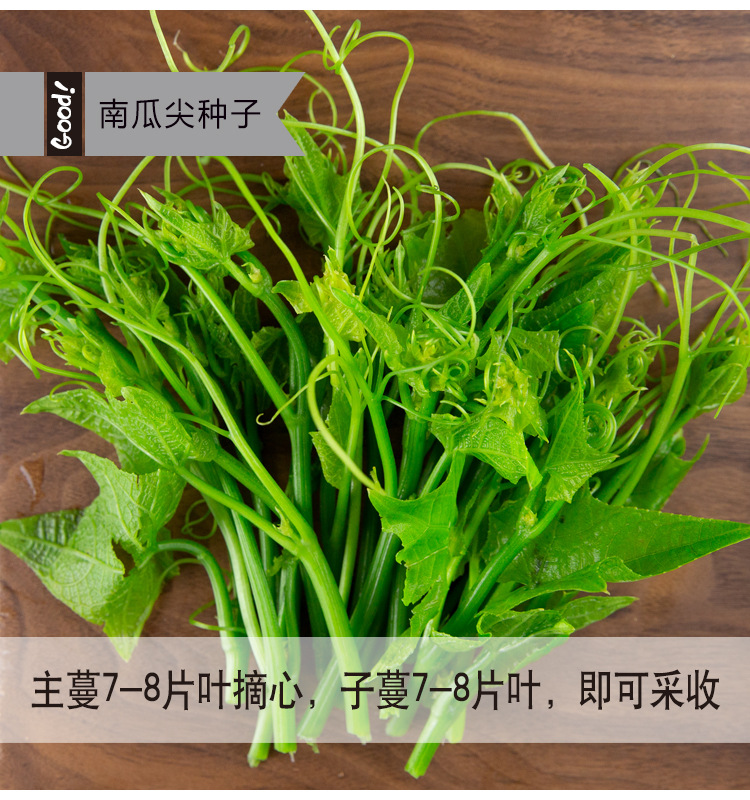 香嫩南瓜尖02