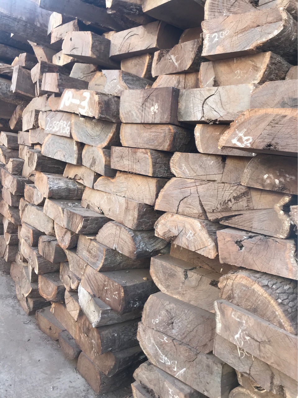 [皮灰木]原木板材 黑檀木 皮灰 黑檀木沉贵宝木乌木工艺品雕刻材