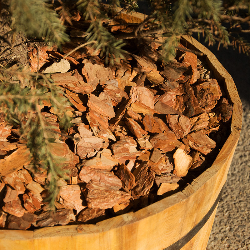 松树皮打磨绿植绿化景观铺面树皮蝴蝶兰花植料铁皮石斛营养土松鳞