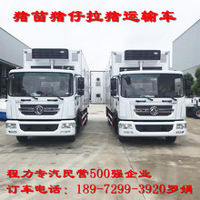 鸭苗鸡苗猪苗长途运输车 温氏集团zhuan用车型 3000只乳鸡车