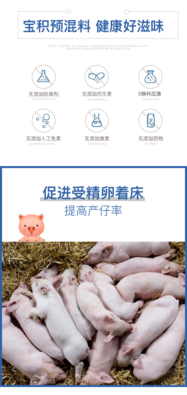 8%怀孕母猪预混料 高营养妊娠母猪饲料添加剂 中草药母猪饲料厂家