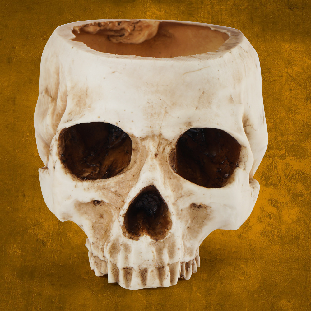 居家摆件树脂骷髅头电影拍摄布景道具花盆骷颅头万圣节田园花盆