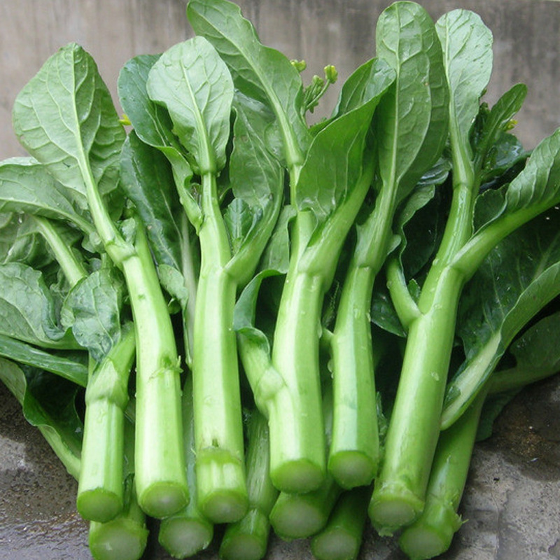 菜心种子菜心籽芥菜种子甜菜心种子 阳台菜园盆栽庭院绿色蔬菜种