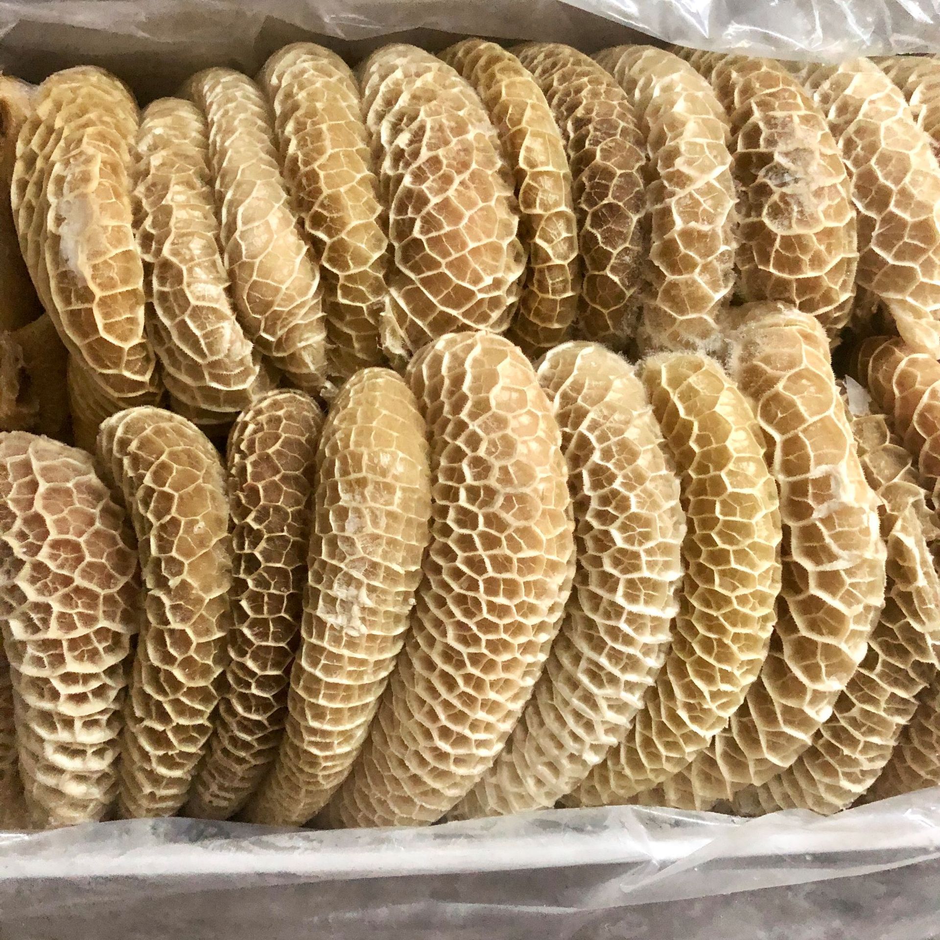 牛肚 牛肉肚 金钱肚 毛肚 牛胃 牛百叶 牛副 冷冻牛肉 1件40斤