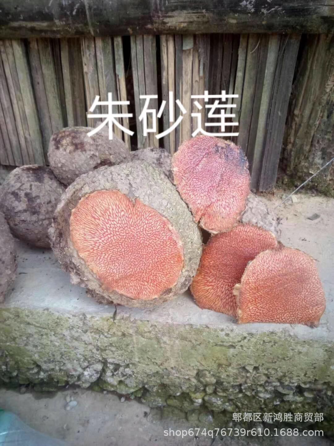 c4738f4383689164e0087b22a79da9