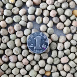 进口加拿大灰豌豆利斯卡得 liscard 鸽粮酒厂 类似国产大麻豌豆