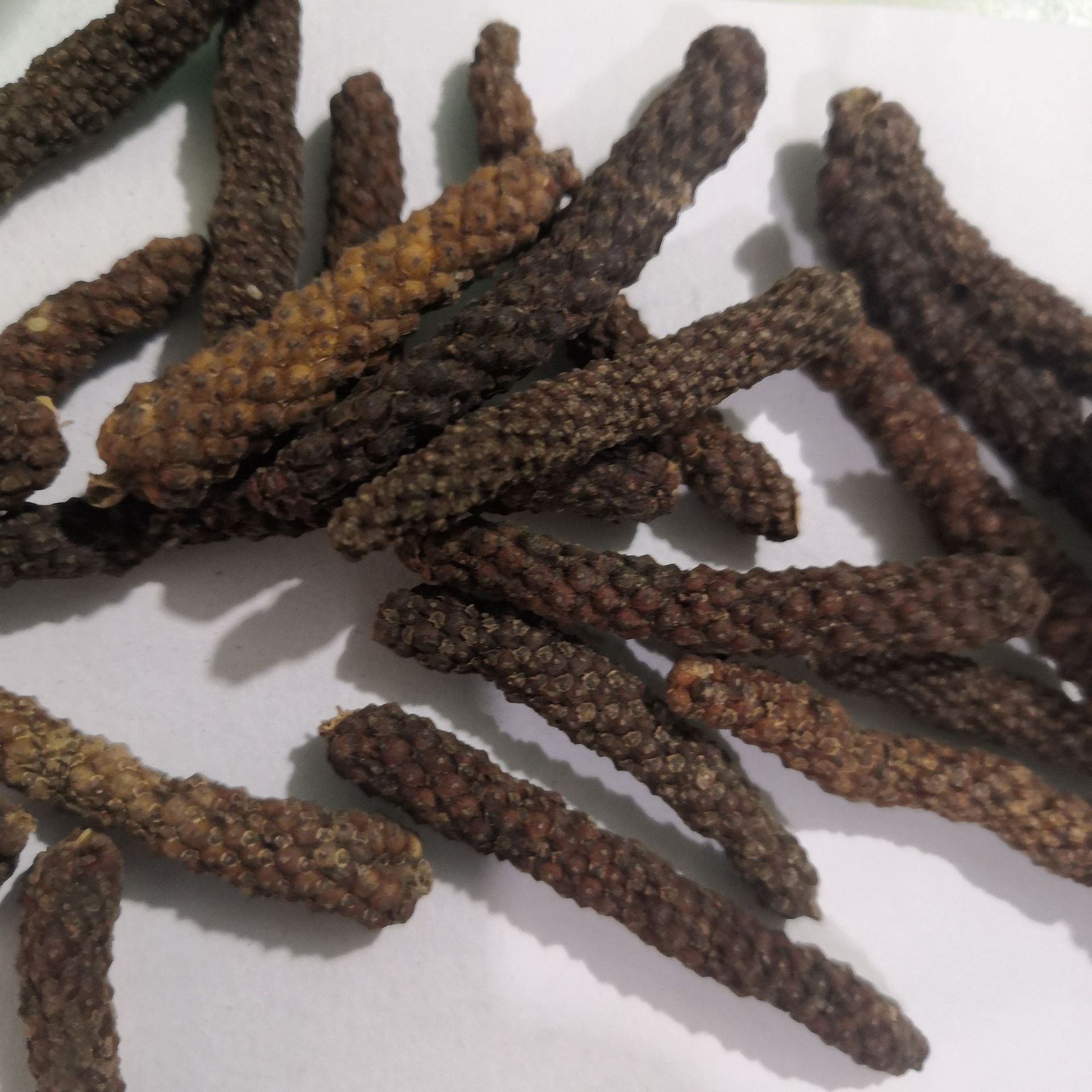 产地直销中药材荜拨 后期荜拨优质香料火锅涮烤调料 净货无硫