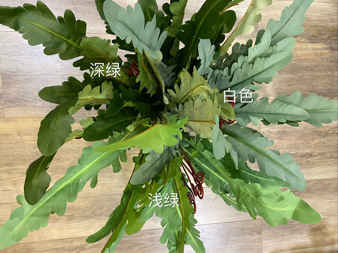 绿色18叶雪里红鸟巢蕨仿真鸡尾芒植物鸡尾蕨植物墙配材布料叶子