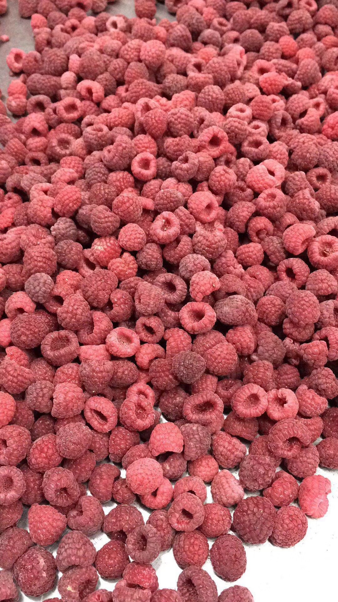 速冻红树莓 冷冻红树莓 冻树莓 果汁果酱果馅甜品水果原料供应