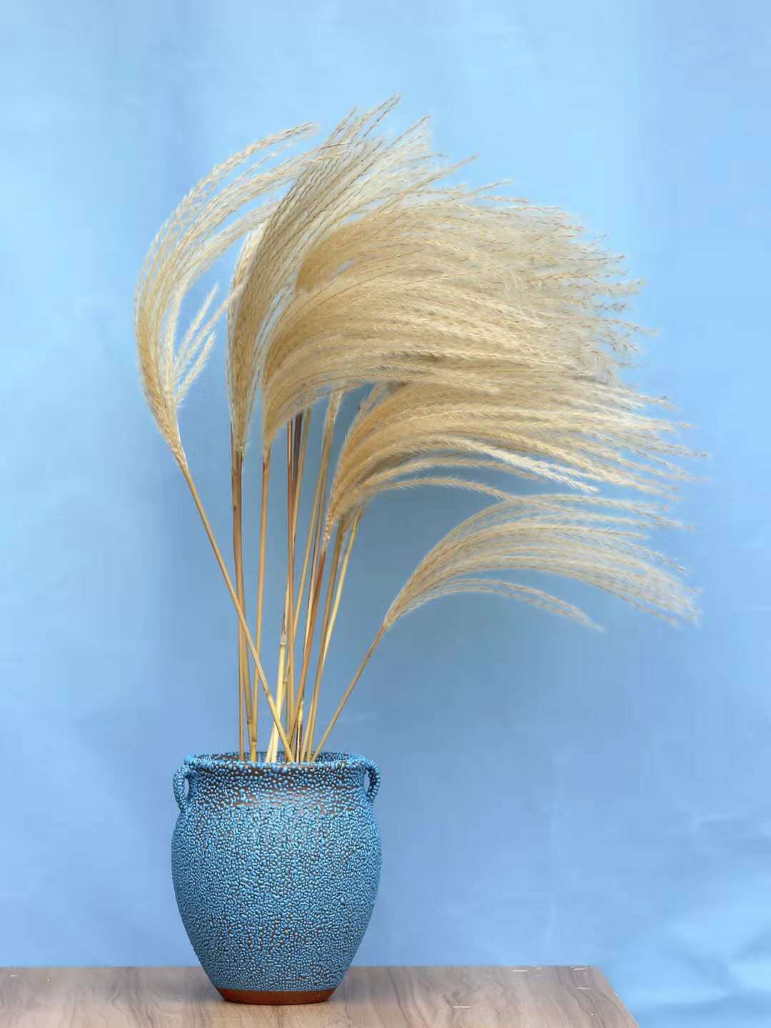 干花小芦苇花束节日装饰天然芦苇花拂尘永生花1束50支拂尘花跨境