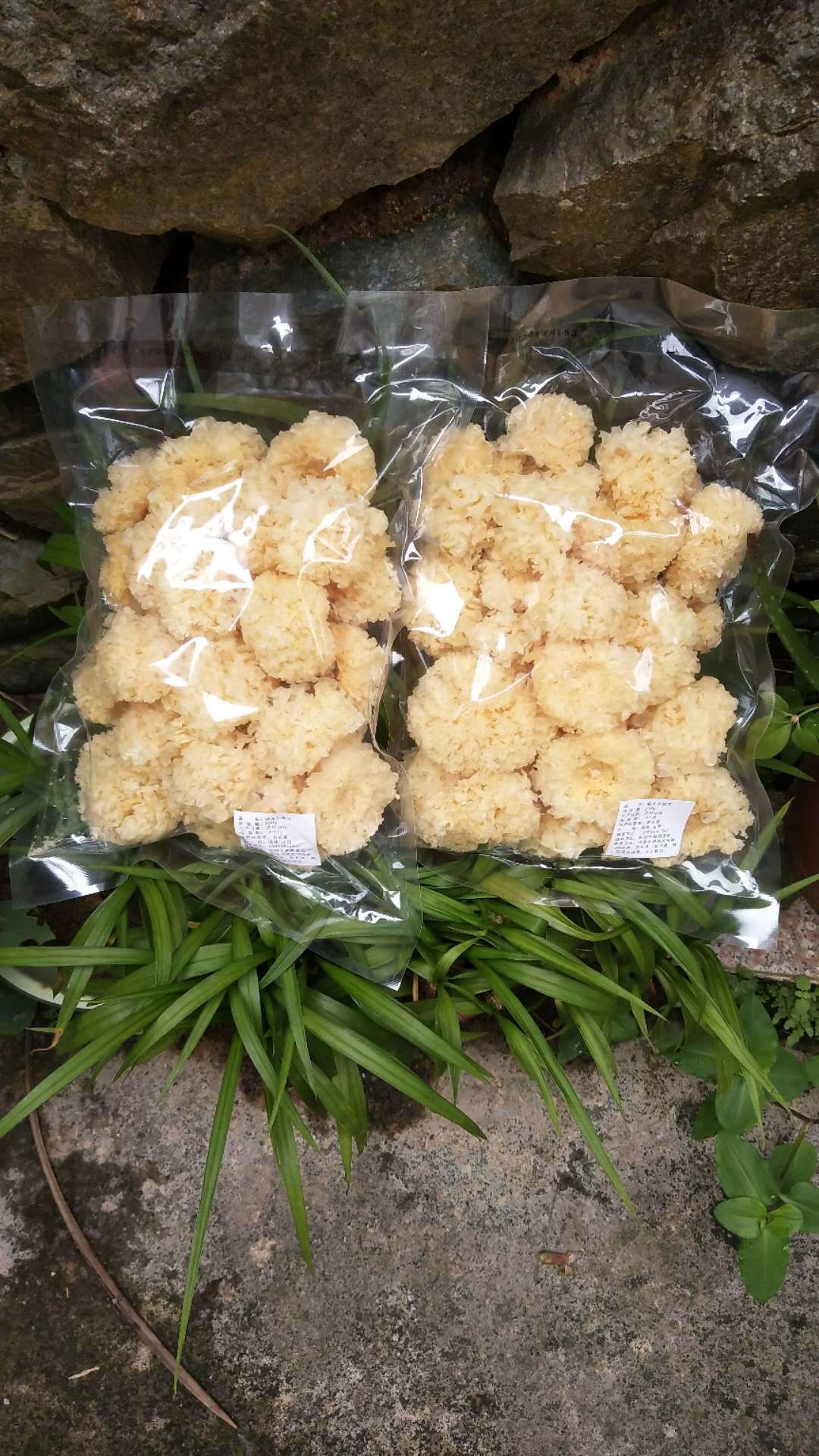 椴木小银耳 产地古田银耳批发福建白木耳丑耳干货无熏无碎250g/件