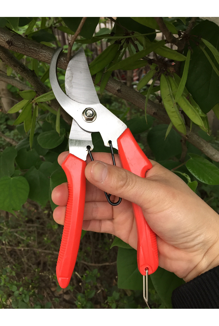 批发园林剪花艺修枝剪果枝剪刀园林工具省力剪大力剪刀包树枝剪
