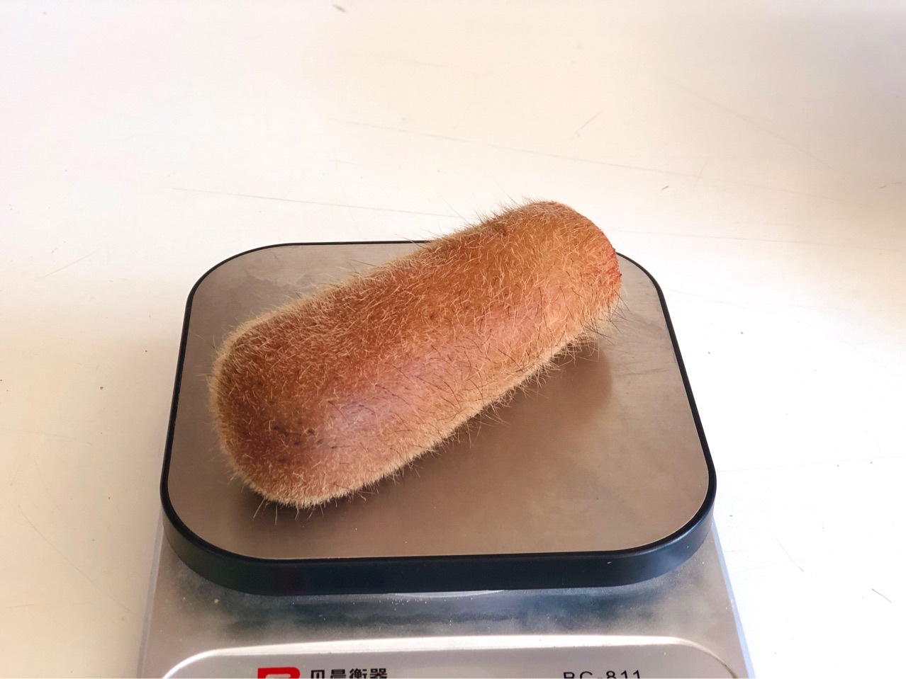 2020年新鲜梅花鹿毛桃鹿茸 精品鹿茸 头茬二杠 鲜嫩 含血量充足