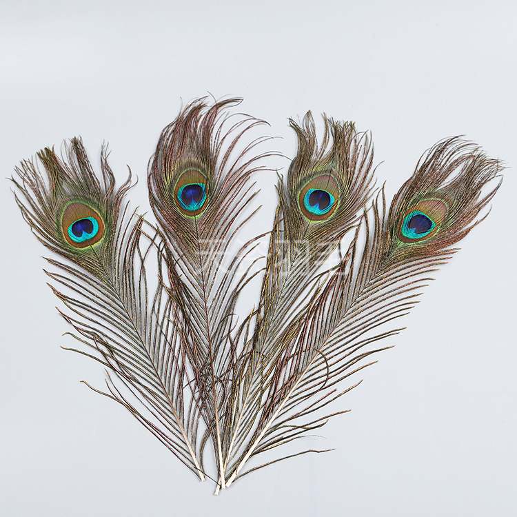 孔雀毛孔雀翎尾婚庆用品diy家居工艺品装饰孔雀尾羽毛