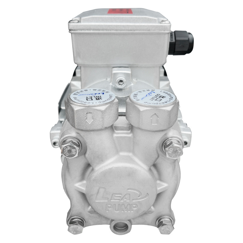 导热油泵 高温泵 微型热油泵 模温机专用泵ly