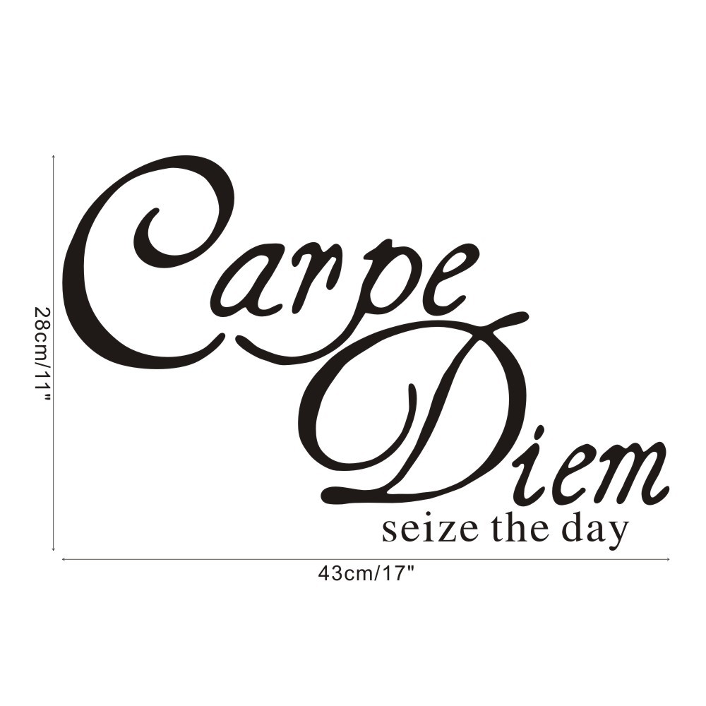 dx091carpe diem seize the day客厅卧室背景墙英文墙贴定制批发