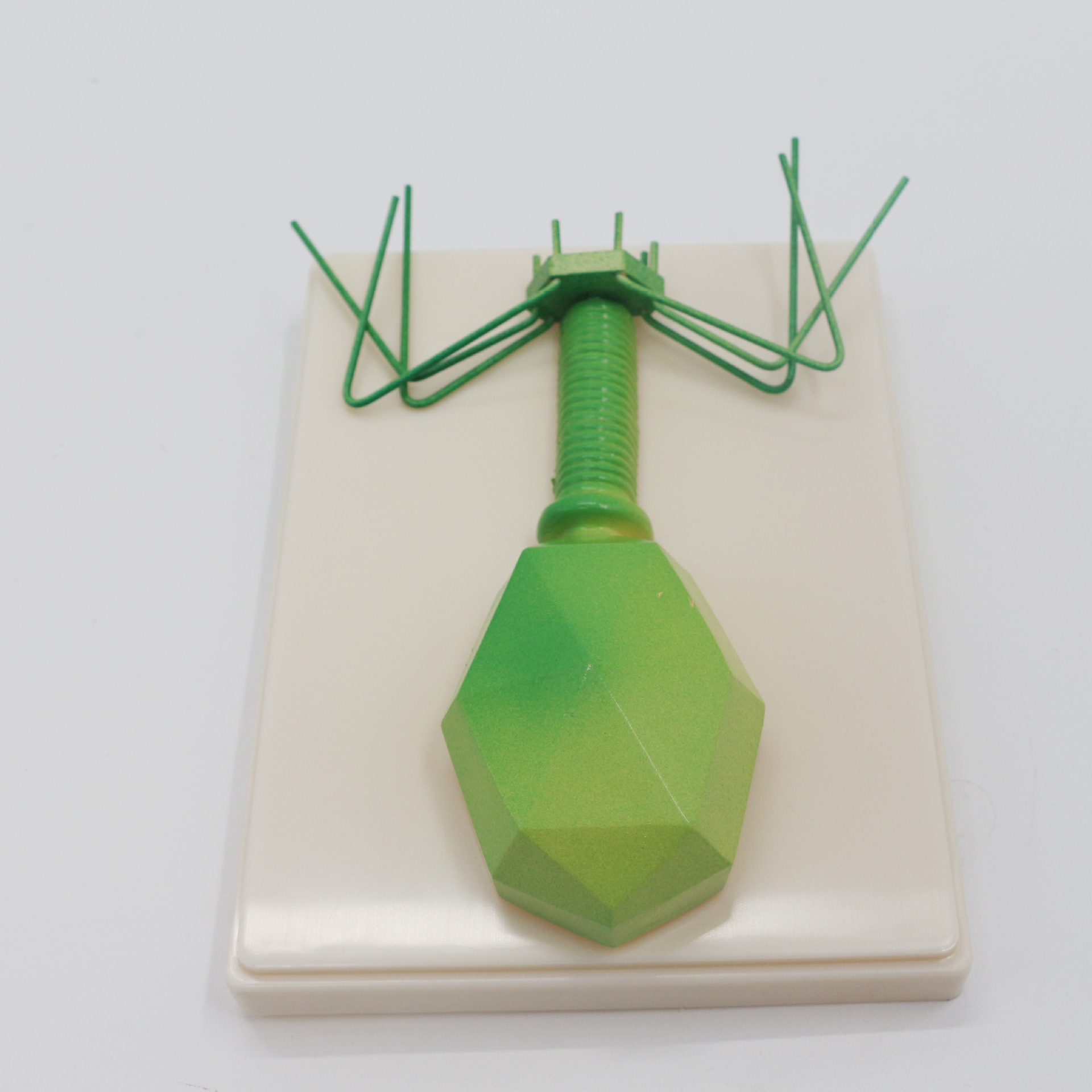 30409310101病毒模型2020新课标中学生物教学教具中小学教学仪器