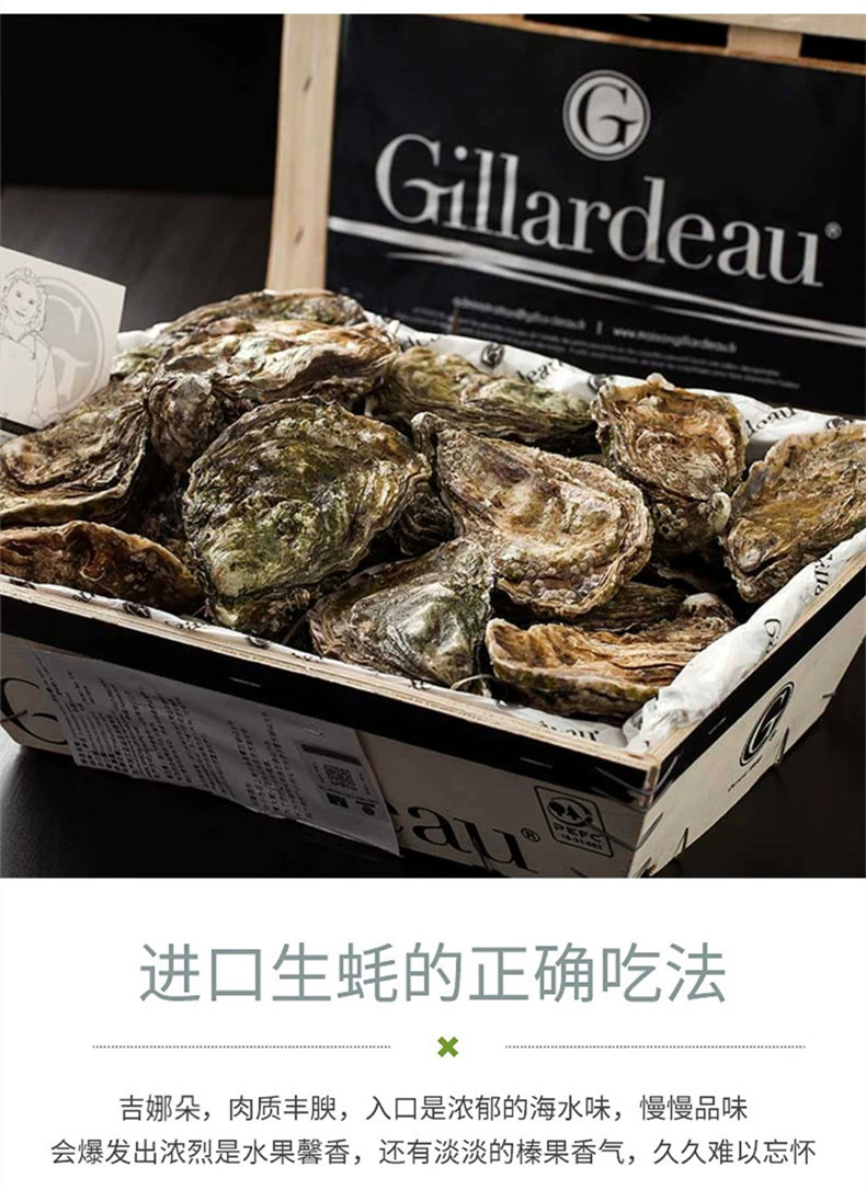 厂家吉拉多生蚝 新鲜吉娜朵刺身生蚝空运吉娜多 法国进口原装生吃