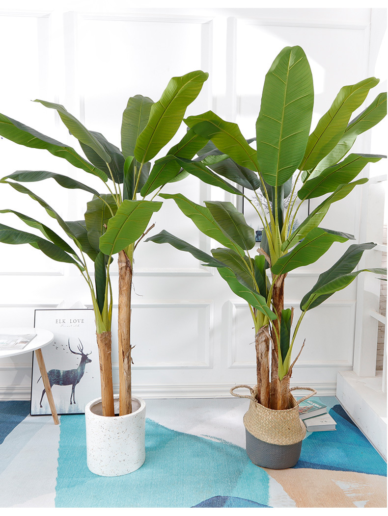 芭蕉树落地植物室内装饰天堂鸟盆栽树仿真香蕉景田园旅人蕉带盆