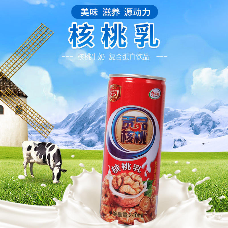 贡品饮料 学生早餐核桃牛奶 核桃乳 240ml 16盒*箱  批发