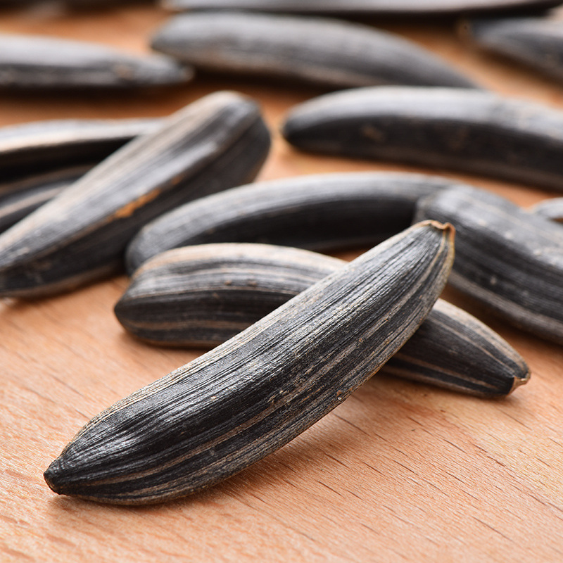 【】牙签瓜子500g原味象马牙1斤大葵花籽新货新疆特产椒盐