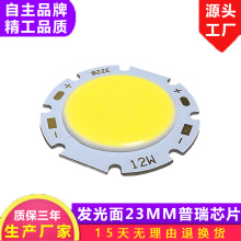 发光面23MM 直径32MM COB光源 COB灯珠 LED灯珠 LED光源 厂家直销