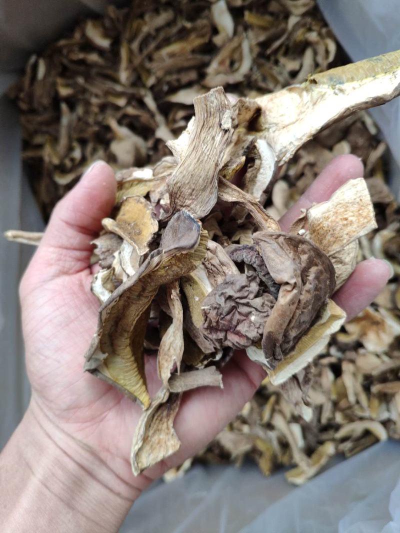 美味牛肝菌干货云南特产野生菌白牛干菌食用菌香菇类干片菌菇炖汤