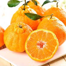 高原丑橘新鲜水果丑桔不知火丑八怪橘子当季水果丑橘粑粑柑橘批发