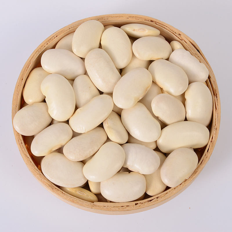 白芸豆450g 新货大芸豆新鲜云豆大白豆雪豆大豆豆子五谷杂粮