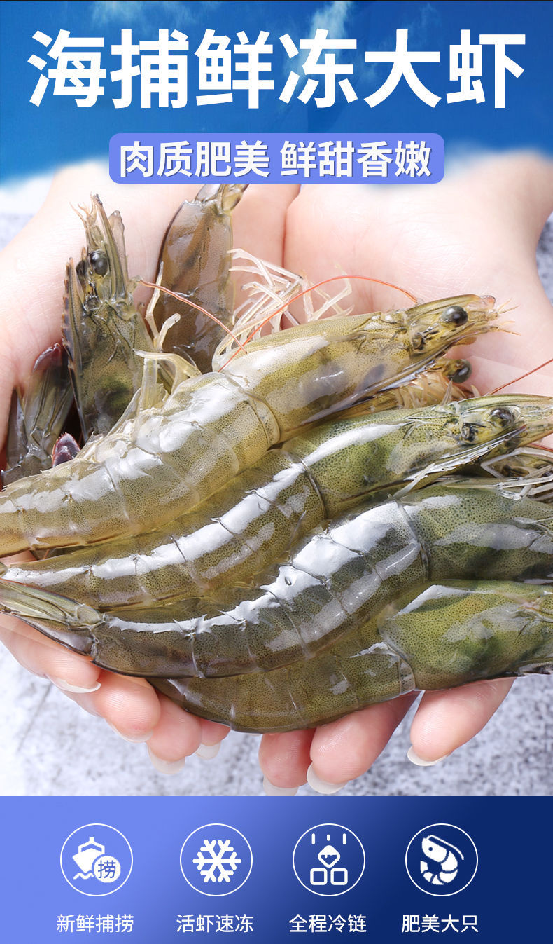 顺丰包邮海捕大虾基围虾冻虾鲜活大对虾鲜虾白虾野生青虾活虾海鲜