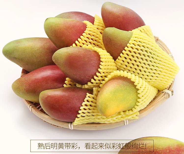 海南贵妃芒果红金龙芒新鲜时令水果