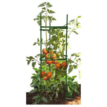 番茄支柱西红柿种植架黄瓜丝瓜辣椒茄子种植架爬藤攀爬架植物支撑