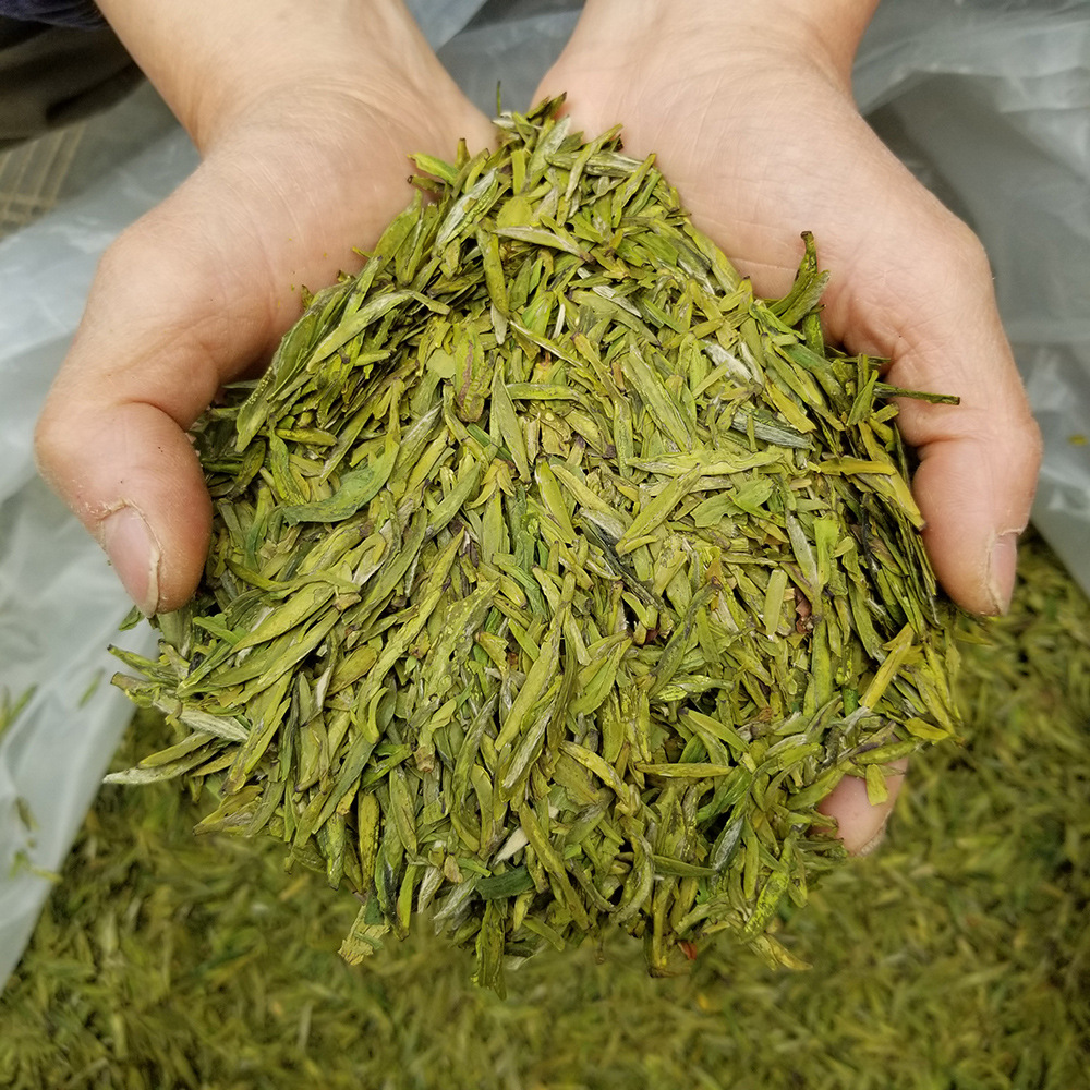 明前龙井茶2021黄版中档新茶杭州绿茶叶浓香型厂家 散装茶叶批发
