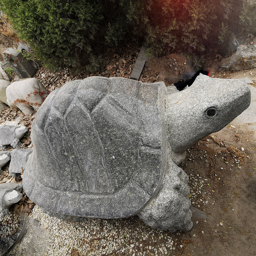 石龟青石龟石雕龟小石龟花岗岩石头乌龟家居花园池塘装饰摆件供应