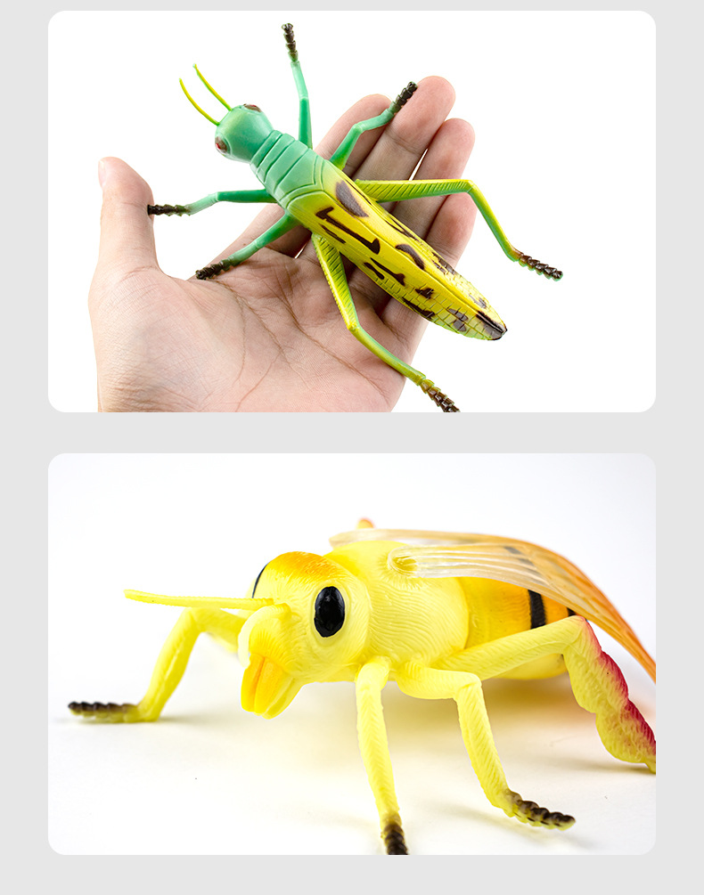 昆虫仿真动物模型摆件儿童早教认知玩具静态模型4只袋装可定制