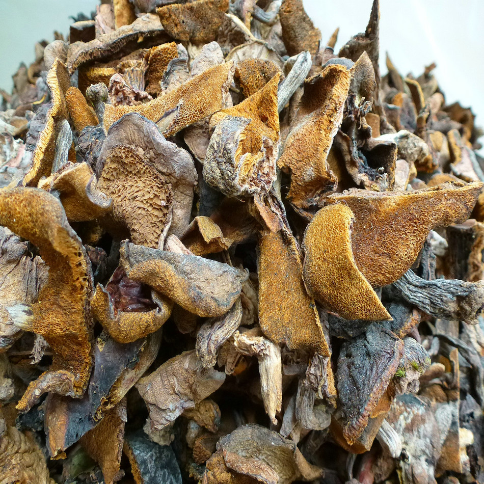 【裕菌隆】白乳牛肝菌 乳牛肝菌 火锅熬汤菌 野生菌火锅底料