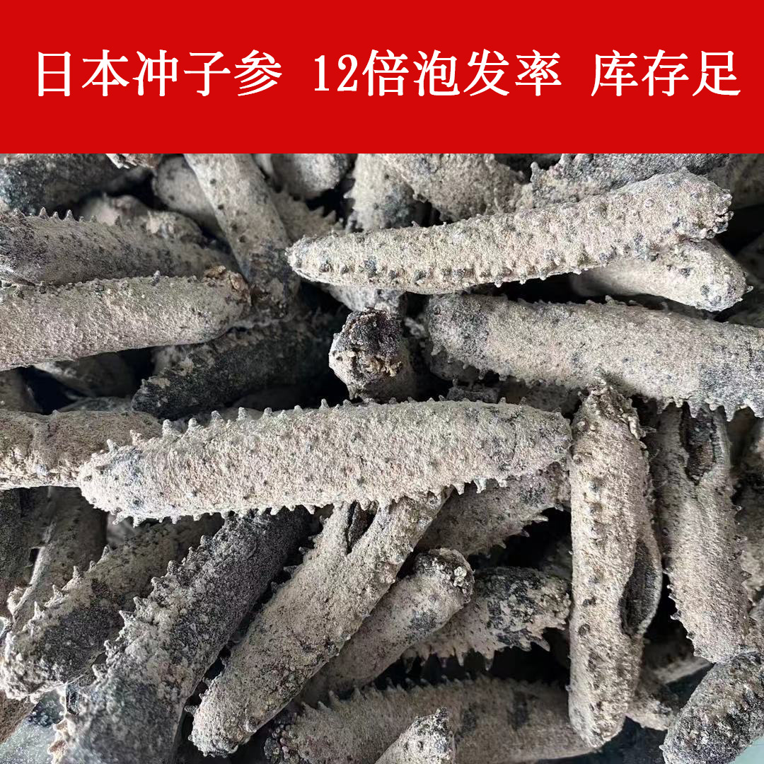 冲子参淡干晒干海参肉质肥厚60头