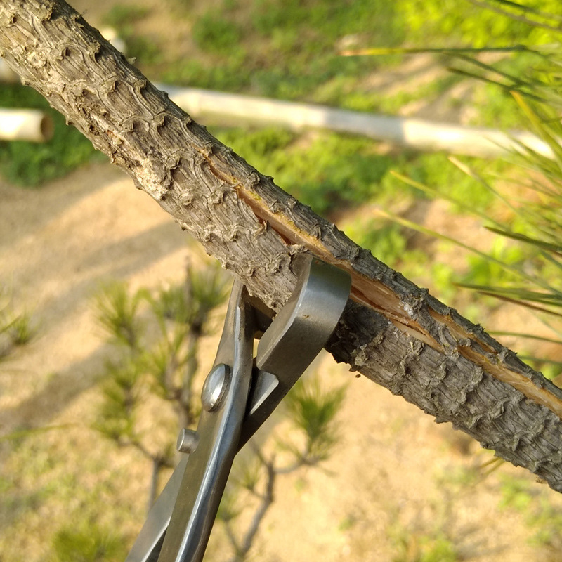 盆景造型工具210复合钢开枝剪 破杆剪园艺修花剪破杆开枝钳