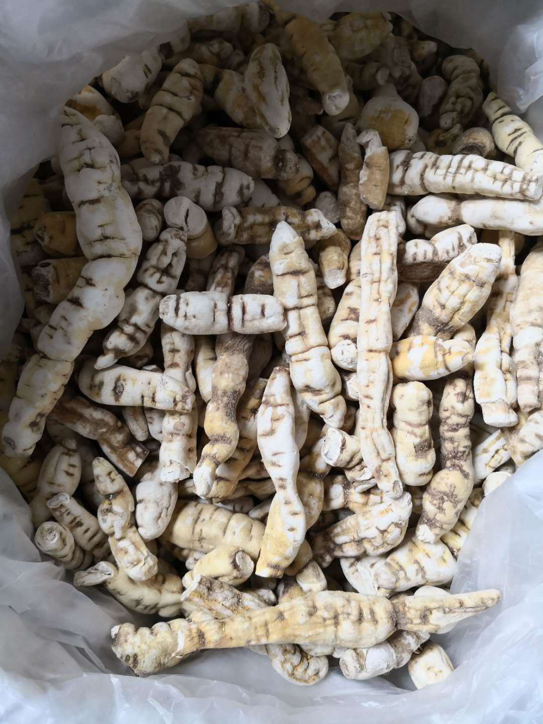 江苏滨海原产地 厂家直供滨海白首乌片 白首乌条 (耳叶牛皮消)